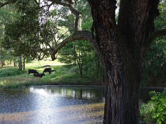 572 Torryburn Road, via East Gresford NSW 2311 - Image 2