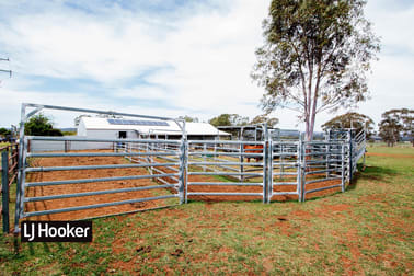 8075 Gwydir Highway Inverell NSW 2360 - Image 3
