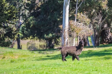 69 Native Avenue Mount Barker SA 5251 - Image 3