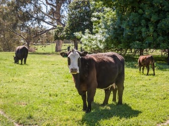 68 School Road Boho VIC 3669 - Image 3