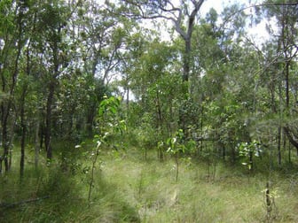 590 Pacific Drive Deepwater QLD 4674 - Image 1