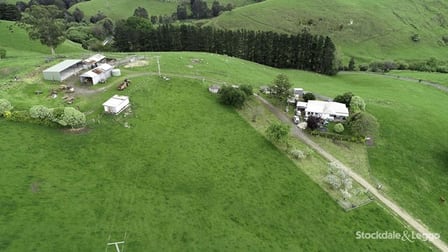 1115 Wild Dog Valley Road Mount Eccles VIC 3953 - Image 1