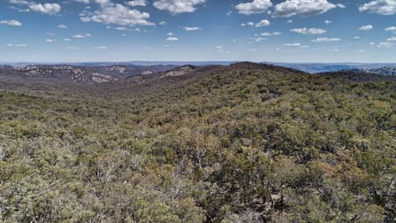 Lot 91, Part 1189 Box Ridge Road Turondale NSW 2795 - Image 3