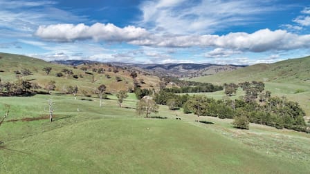 1294 Upper Turon Road, Upper Turon Via Bathurst NSW 2795 - Image 3