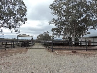 2483 Mayfield Road Tarago NSW 2580 - Image 3