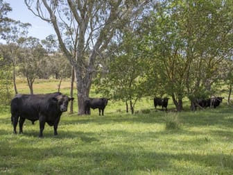 405 Oak Valley Road Longwood VIC 3665 - Image 2