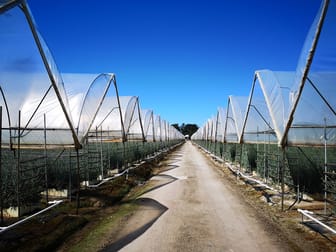 Agricultural  business for sale in Pearcedale - Image 2