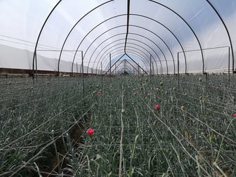 Agricultural  business for sale in Pearcedale - Image 3