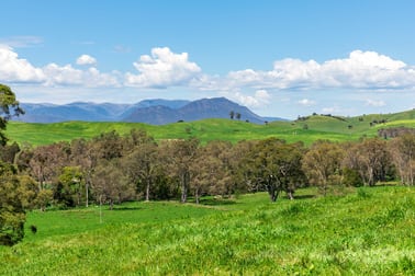 196 Connellys Creek Road Acheron VIC 3714 - Image 1