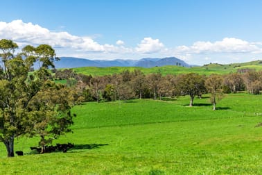 196 Connellys Creek Road Acheron VIC 3714 - Image 2