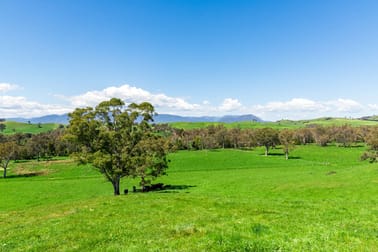 196 Connellys Creek Road Acheron VIC 3714 - Image 3