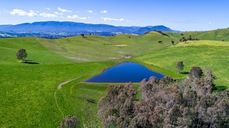 291 Connellys Creek Road Acheron VIC 3714 - Image 1