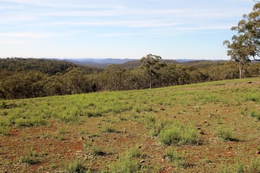 1238 Mogo Road Mudgee NSW 2850 - Image 1