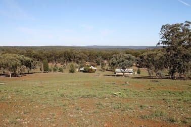 1238 Mogo Road Mudgee NSW 2850 - Image 2