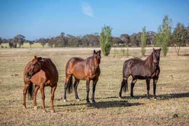 90 Thanowring School Rd Temora NSW 2666 - Image 1