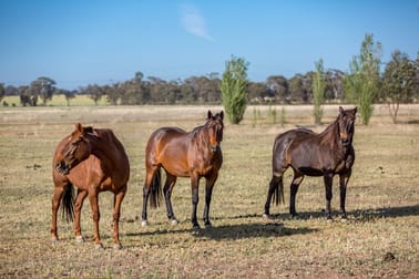 90 Thanowring School Rd Temora NSW 2666 - Image 1