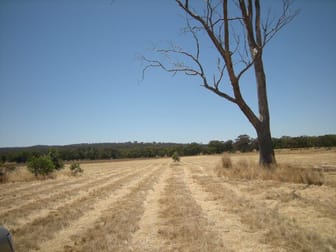 561 Bradford Road Shelbourne VIC 3515 - Image 2