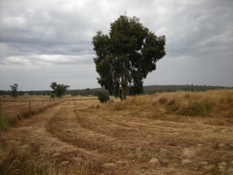561 Bradford Road Shelbourne VIC 3515 - Image 3