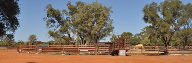 . BLUE RIBBON SHEEP COUNTRY - Cunnamulla QLD 4490 - Image 3