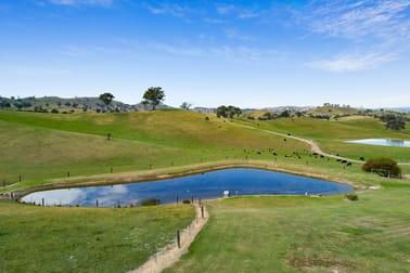 7741 Maroondah Highway Yarck VIC 3719 - Image 2