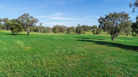 6773 Goolma Road Wellington NSW 2820 - Image 3
