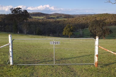 268 Horton Drive Woodstock NSW 2793 - Image 1