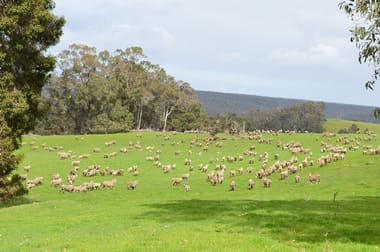 3543 Donnybrook-Boyup Brook Road Noggerup WA 6225 - Image 1
