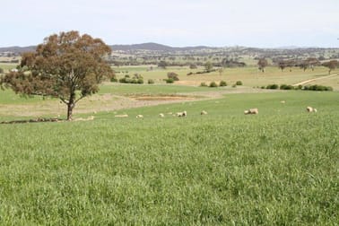 3/83 Yass Valley Way Manton NSW 2582 - Image 2