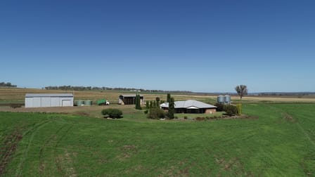 491 Forest Springs Road Spring Creek QLD 4361 - Image 1