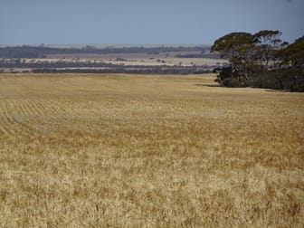 "Minni Downs" Mount Sheriden Road Varley WA 6355 - Image 3