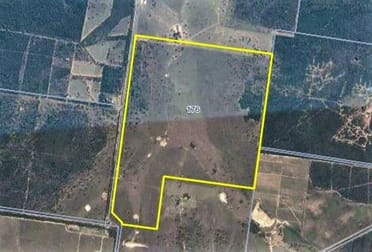 176 Spiers Creek Road Stonehenge QLD 4357 - Image 2