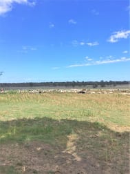 176 Spiers Creek Road Stonehenge QLD 4357 - Image 1