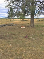 176 Spiers Creek Road Stonehenge QLD 4357 - Image 3