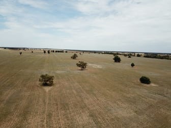 'Ossory' Aggregation Narromine NSW 2821 - Image 1