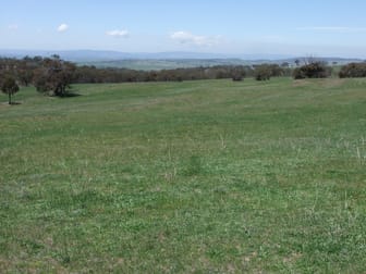 1781 Mitchell Highway Bathurst NSW 2795 - Image 2