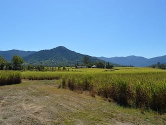 Finch Hatton QLD 4756 - Image 3