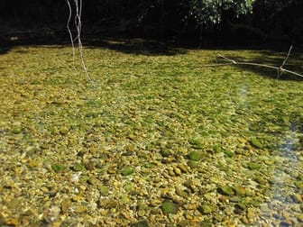 Click to view all images 219 Old Tully Road Bulgun QLD 4854 - Image 1