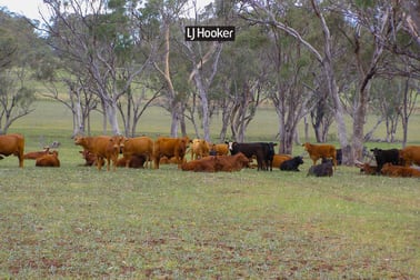 40 Hills Lane Inverell NSW 2360 - Image 1