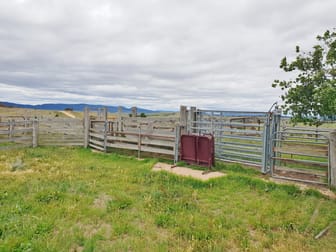 418 Parlour Creek Road Braidwood NSW 2622 - Image 3