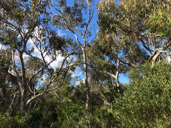 Lot 4 Avenue Range Road Reedy Creek SA 5275 - Image 1