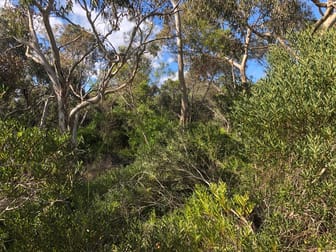 Lot 4 Avenue Range Road Reedy Creek SA 5275 - Image 3