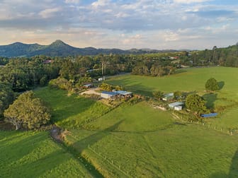 113 Left Bank Road Mullumbimby NSW 2482 - Image 2