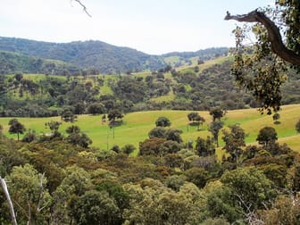 690 U.T Creek Road Alexandra VIC 3714 - Image 1