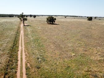 'Waratah' 176 Lincoln Lane Narromine NSW 2821 - Image 1
