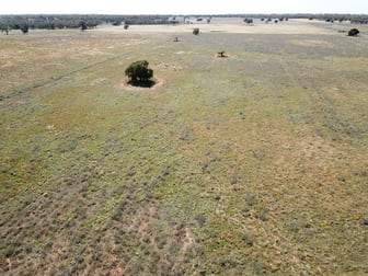 'Waratah' 176 Lincoln Lane Narromine NSW 2821 - Image 2