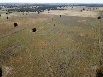 'Waratah' 176 Lincoln Lane Narromine NSW 2821 - Image 3