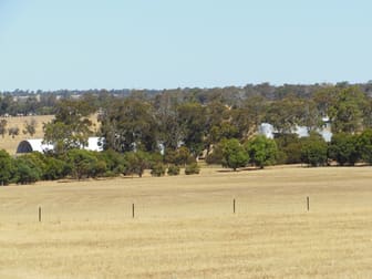 Ronneby Park, 670 Youngs Rd Beaufort River WA 6394 - Image 2