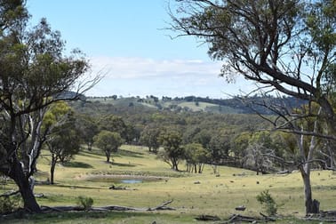 2201 Longford Road Guyra NSW 2365 - Image 1