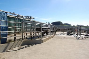 99 Lottah Rd Natone TAS 7321 - Image 2