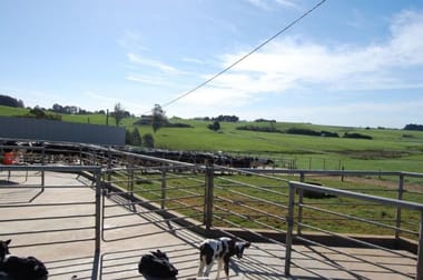 99 Lottah Rd Natone TAS 7321 - Image 3